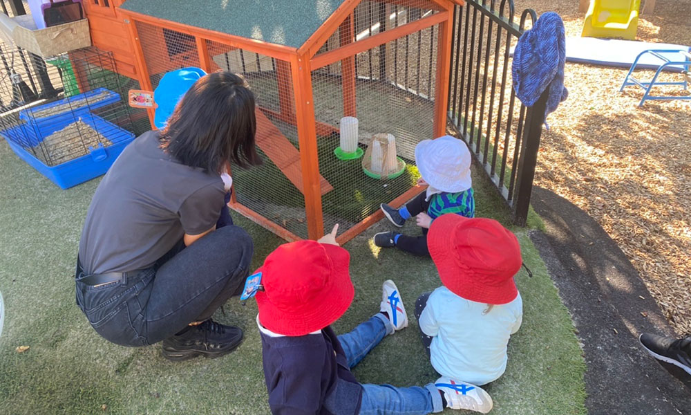 Children meeting Roast and Barbara our new chickens at Kew Kids