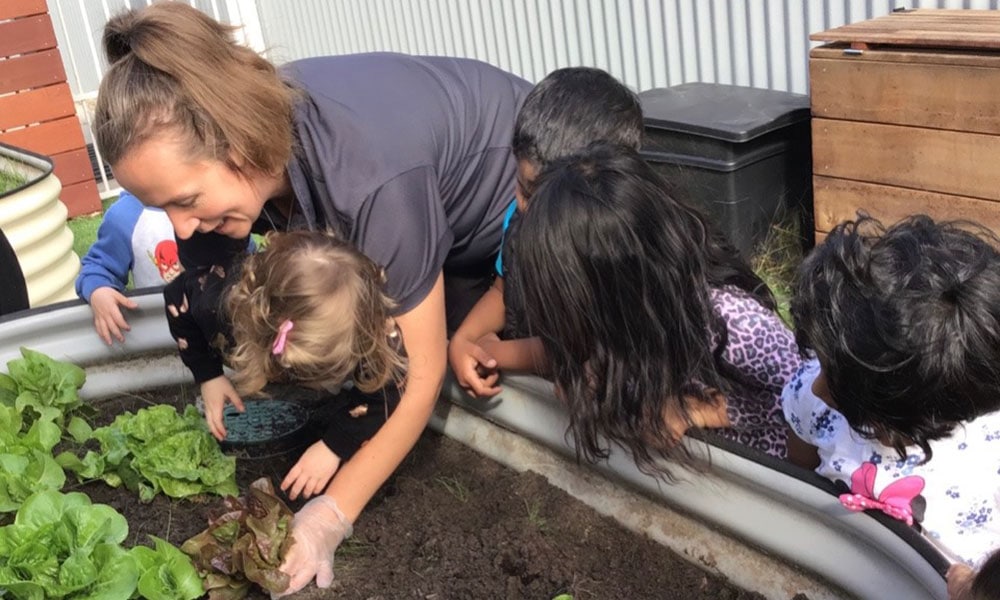 children planting in the lettuce garden