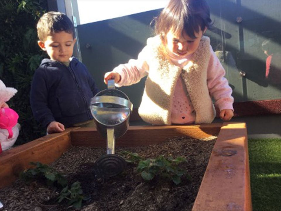 Children planting treen at Story House Mascot